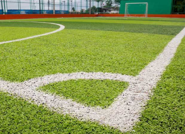 Artificial Grass